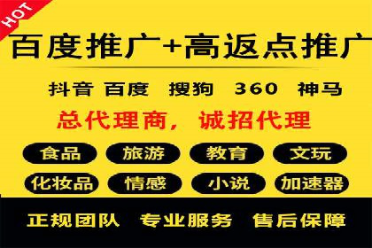 网络推广与竞价优化成功案例